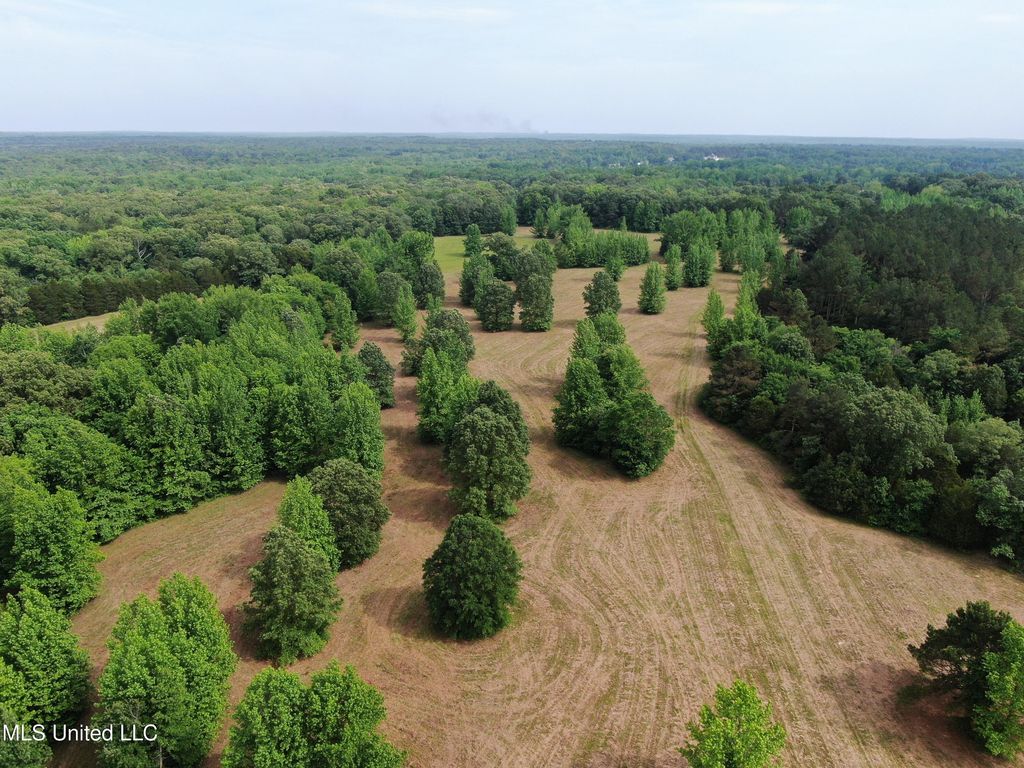 656 Sunset Drive, Coldwater, MS 38618 — photo 4