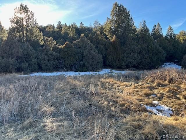 6016 Forbes Rd, San Luis, CO 81152