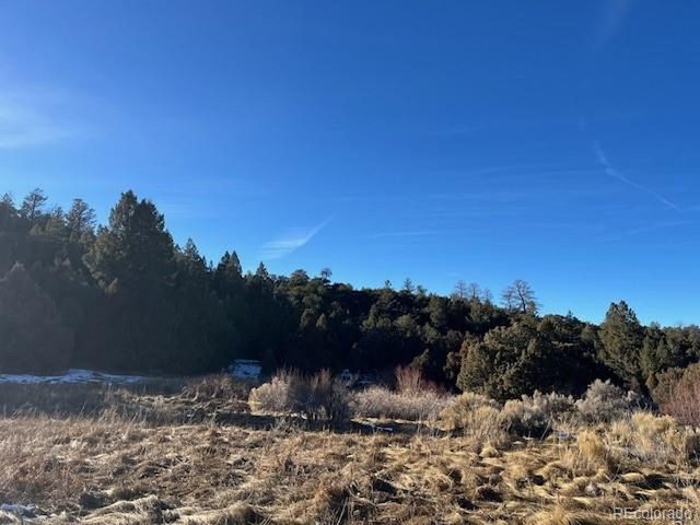 6016 Forbes Rd, San Luis, CO 81152