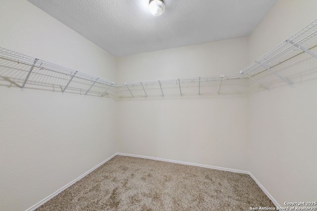 12658 Point Summit, San Antonio, TX 78253