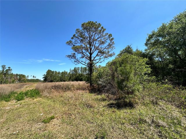 TBD NE 128TH LANE, Bronson, FL 32621