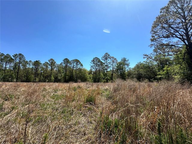TBD NE 128TH LANE, Bronson, FL 32621