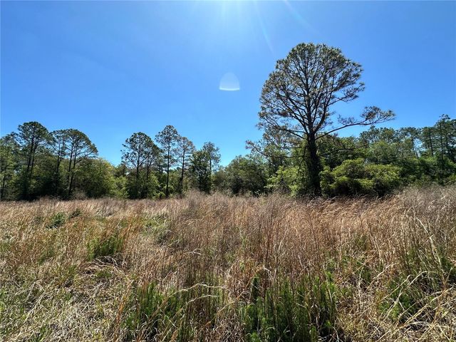 TBD NE 128TH LANE, Bronson, FL 32621