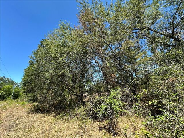 TBD NE 128TH LANE, Bronson, FL 32621