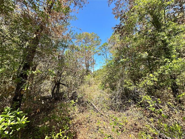 TBD NE 128TH LANE, Bronson, FL 32621