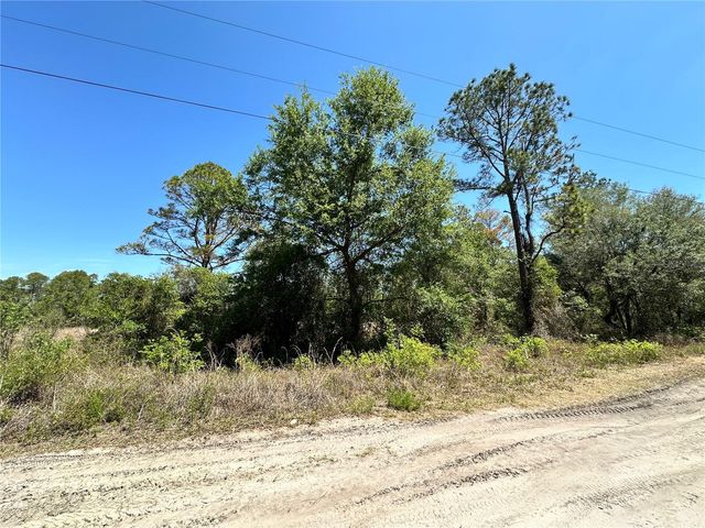 TBD NE 128TH LANE, Bronson, FL 32621
