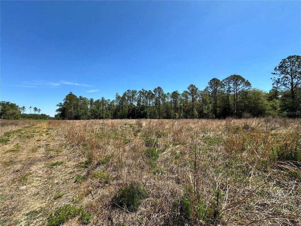 TBD NE 128TH LANE, Bronson, FL 32621