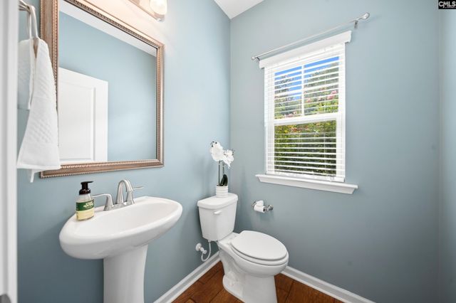 166 Tannery Way, Lexington, SC 29073