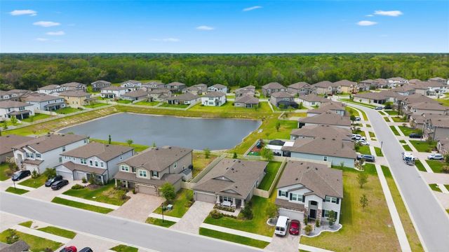 12451 NOUVEAU AVENUE, Spring Hill, FL 34610