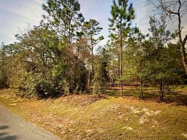 SW 68TH LOOP, Dunnellon, FL 34432