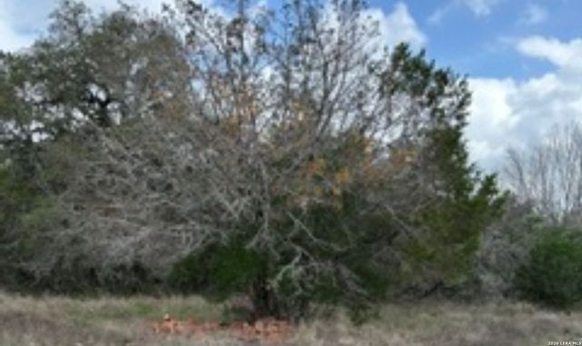 183 Fossil, Spring Branch, TX 78070