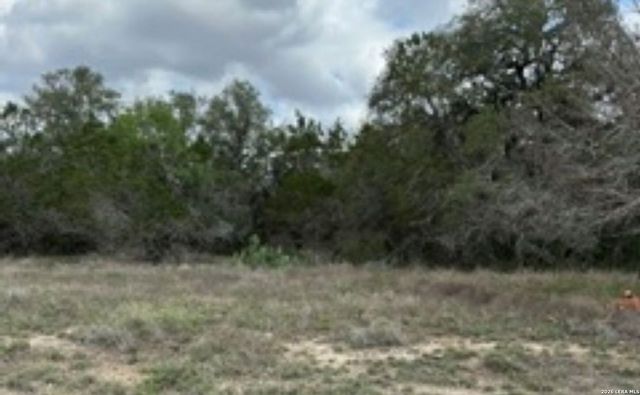 183 Fossil, Spring Branch, TX 78070