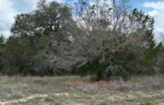 183 Fossil, Spring Branch, TX 78070