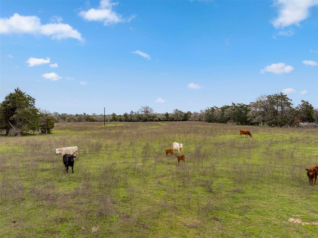 533 L7 Grassyville RD, Paige, TX 78659