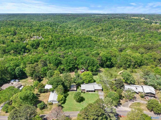 288 Cardessa Lane, Grant, AL 35747
