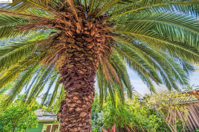 4624 Steele St, Oakland, CA 94619