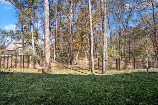 208 Twinflower Trail Court, Conroe, TX 77318