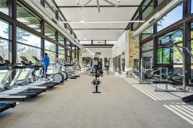 208 Twinflower Trail Court, Conroe, TX 77318