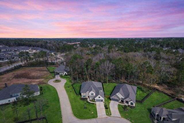 208 Twinflower Trail Court, Conroe, TX 77318