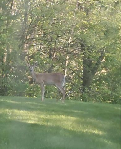 N18458 County Road T, Galesville, WI 54630
