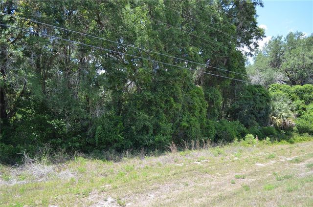 TBD N US HWY 301, Citra, FL 32113