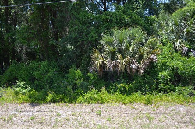 TBD N US HWY 301, Citra, FL 32113