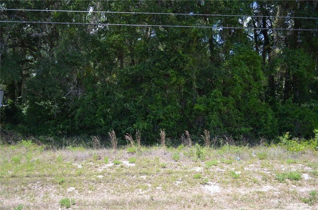 TBD N US HWY 301, Citra, FL 32113