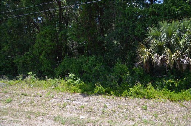 TBD N US HWY 301, Citra, FL 32113