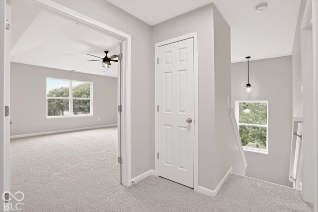 7803 Housefinch Lane, Indianapolis, IN 46239