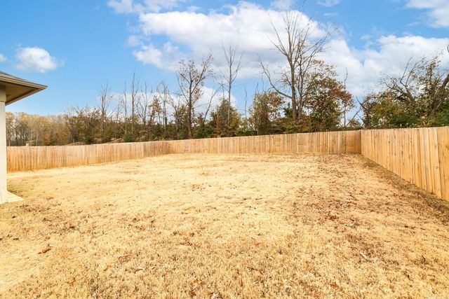 55 Birchwood Drive, Ward, AR 72176