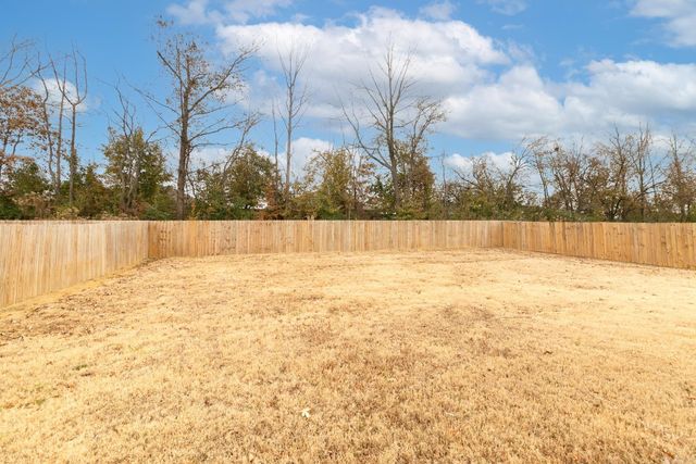 55 Birchwood Drive, Ward, AR 72176