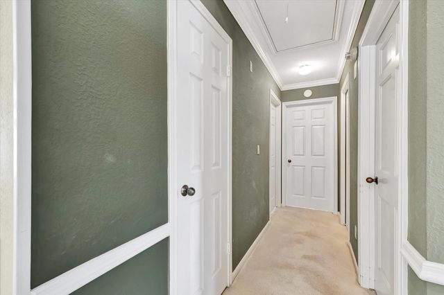 2019 Spring Field Road, Houston, TX 77062