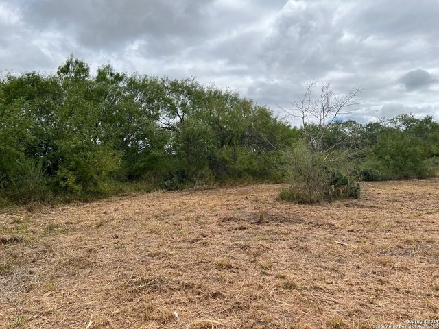 TBD S Hwy 281, Pleasanton, TX 78064