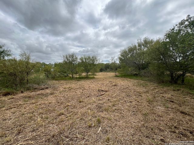 TBD S Hwy 281, Pleasanton, TX 78064
