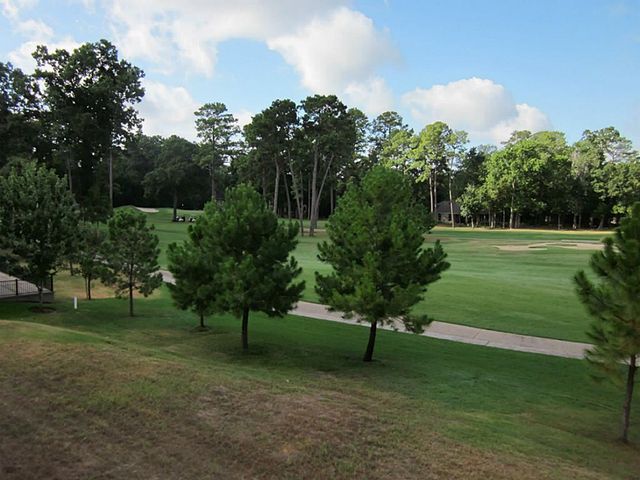 16020 Fountainview Drive 17, Montgomery, TX 77356