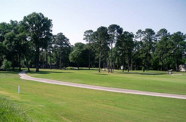 16020 Fountainview Drive 17, Montgomery, TX 77356