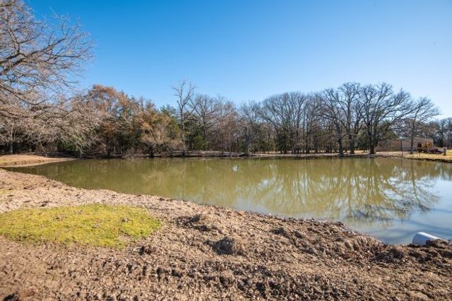 446 Fm 274, Ravenna, TX 75476