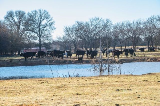 446 Fm 274, Ravenna, TX 75476