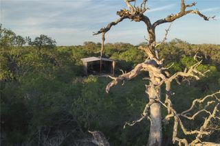 1305 FM 799, George West, TX 78022