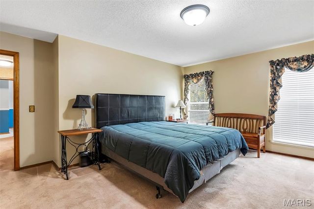 13 Tremaine Court, St Charles, MO 63304