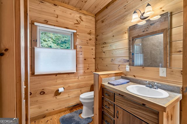 23 Dolores Drive, Mineral Bluff, GA 30559