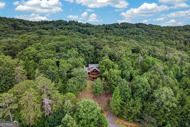 23 Dolores Drive, Mineral Bluff, GA 30559
