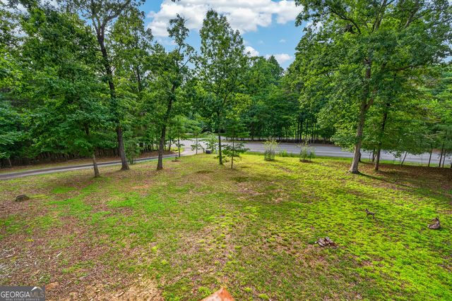 23 Dolores Drive, Mineral Bluff, GA 30559