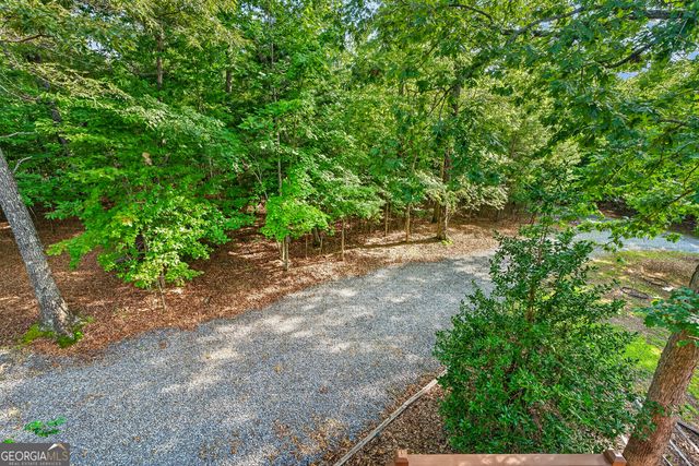 23 Dolores Drive, Mineral Bluff, GA 30559