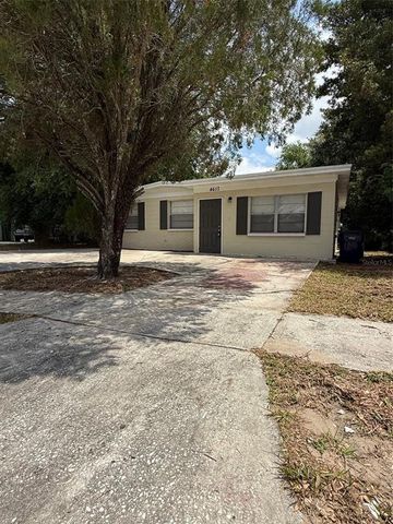 4617 JOHN BELL JR DR, Tampa, FL 33610