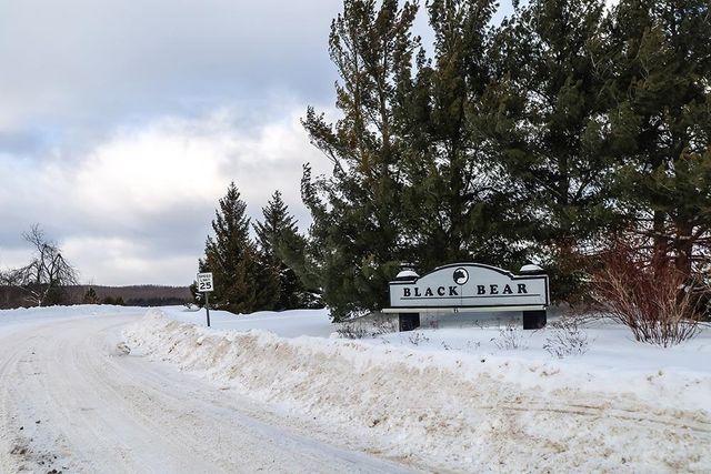 433 Alexander Road, Vanderbilt, MI 49795