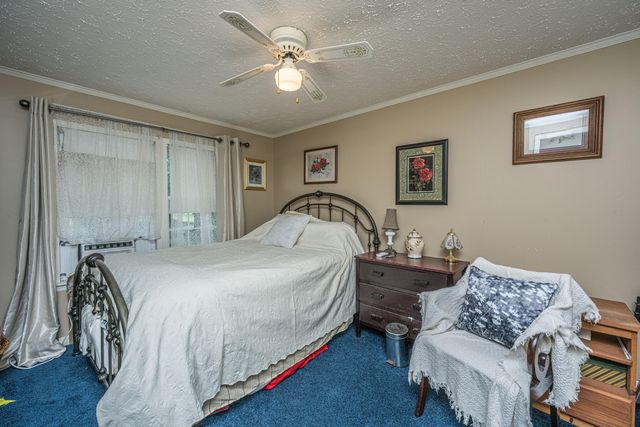 253 Winter Drive, Cottageville, SC 29435