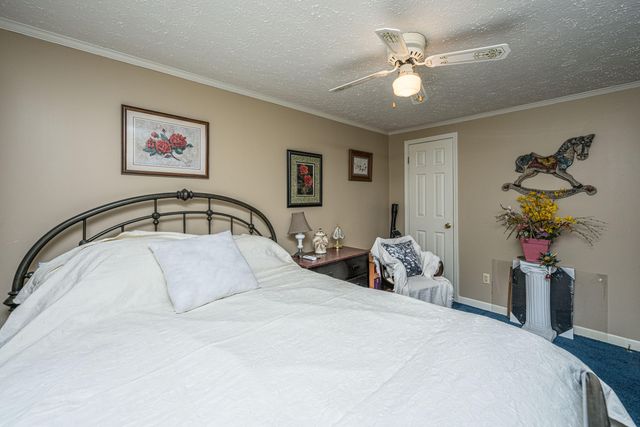 253 Winter Drive, Cottageville, SC 29435