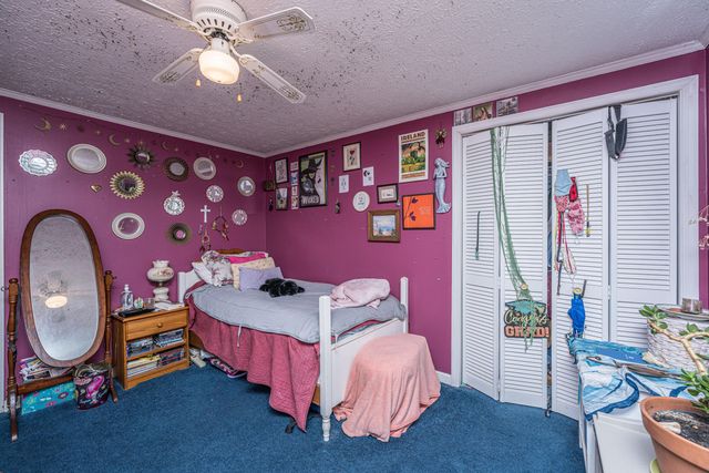 253 Winter Drive, Cottageville, SC 29435
