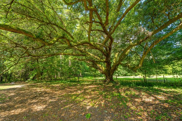 253 Winter Drive, Cottageville, SC 29435